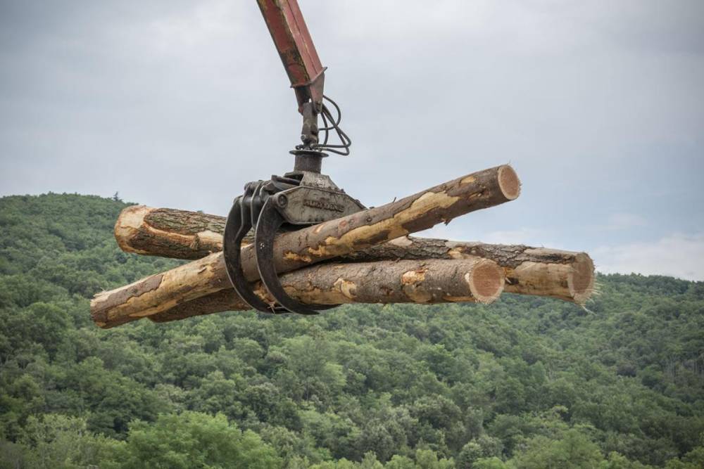 bois pour professionnels Crozes-Hermitage